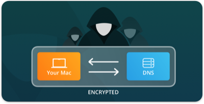 DNS Encryption